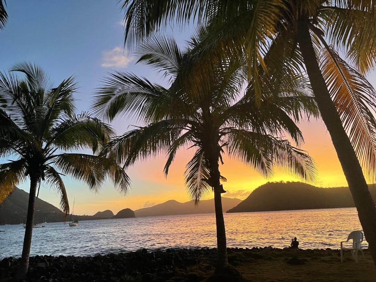 Blue Lagoon, Cottage Les Pieds Dans L Eau Terre-De-Haut Esterno foto